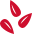 flaxseed icon